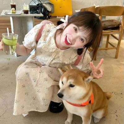 最佳女婿